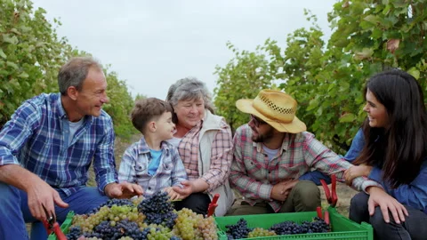 Good looking old and young farmer family members with a cute small boy in the Stock Footage 151142208