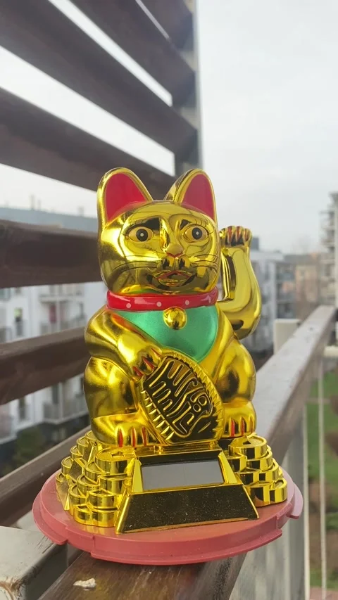 Good luck cat Stock Footage 224714603