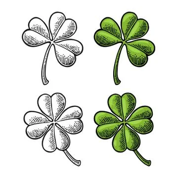 Good luck four and three leaf clover. Vintage vector color and black engraving Stock Illustration