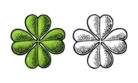 Good luck four leaf clover. Vintage vector engraving illustration Illustration