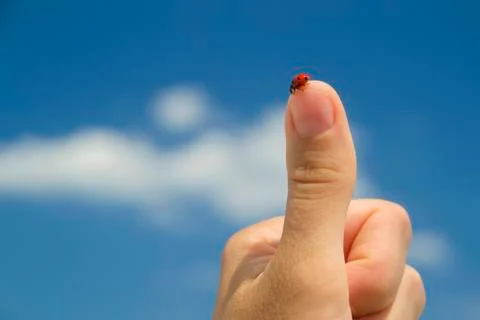 Good luck Stock Photos