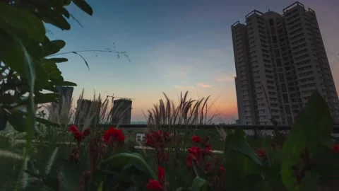 Good Morning Stock Footage 154595229