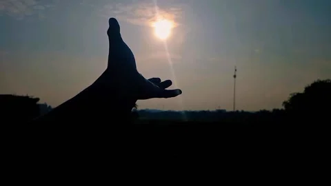 GOOD MORNING Stock Footage 218273235