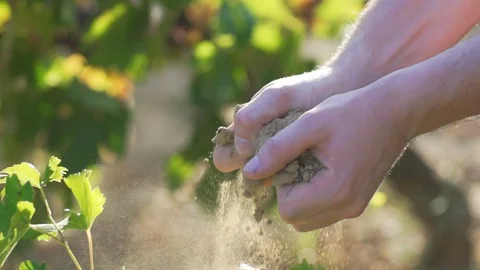 Good mud for vineyard  super slow motion Stock Footage 86296363