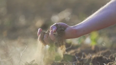 Good mud for vineyard  super slow motion 스톡 동영상 86296379