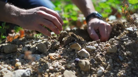 Good mud for vineyard  super slow motion Stock Footage 86297221