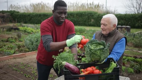 Good neighbors talk on the border of their farms Stock Footage