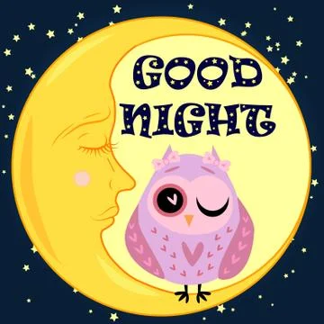 Good night card with sleeping moon and cute owl.  illustration Ilustração Stock