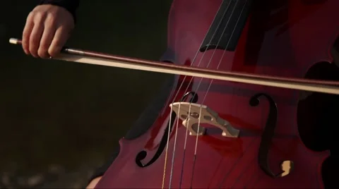 Good playing the cello Stock Footage 55324453