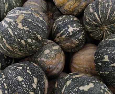 Good pumpkins Foto stock