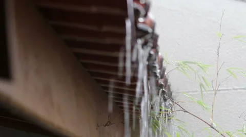 Good rain Stock Footage 42468004