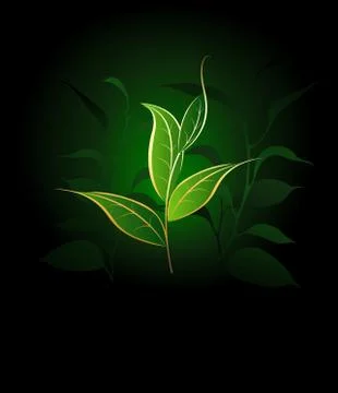 Good Tea Stock Illustration