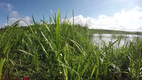 Good View Of The Lake From The Shore Stock Footage 79367572