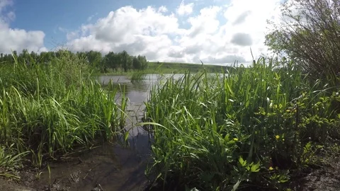 Good View Of The Lake From The Shore Stock Footage 79367737