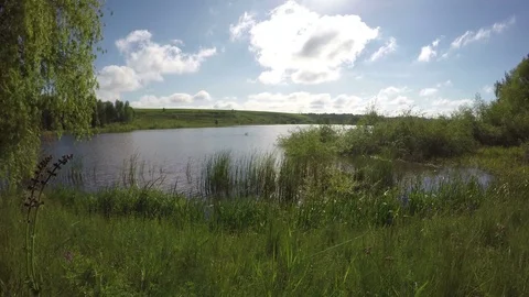 Good View Of The Lake From The Shore Stock Footage 79368036