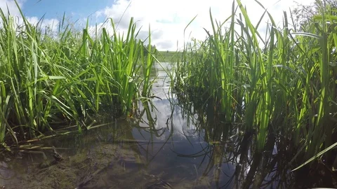 Good View Of The Lake From The Shore Stock Footage 79368741