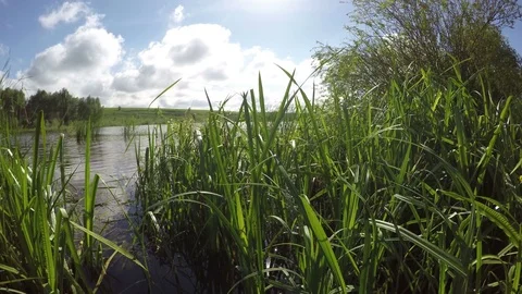 Good View Of The Lake From The Shore Stock Footage 79369071