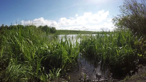 Good View Of The Lake From The Shore Stock Footage 79369473