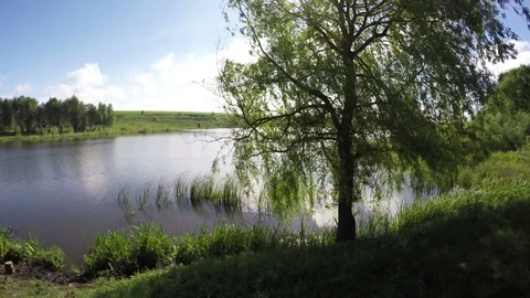 Good View Of The Lake From The Shore Stock Footage 79369570