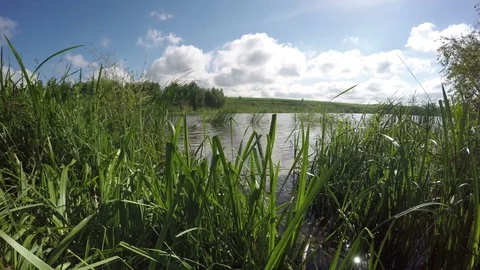 Good View Of The Lake From The Shore Stock Footage 79370283