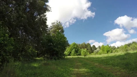 Good View Of Nature Stock-Footage 79364384