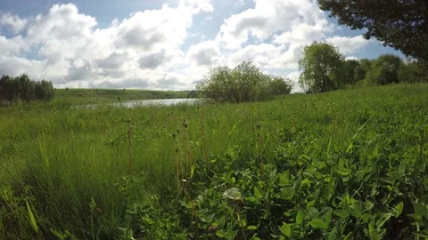 Good View Of Nature Stock Footage 79368991