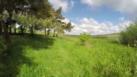 Good View Of Nature Stock Footage 79369337