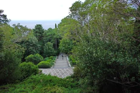 Good view of the stone steps located between the deciduous trees Stock Photos