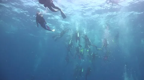 Good visibility and whale shark Stock Footage 68280409