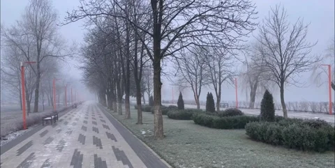 Good winter Video stock 227385387