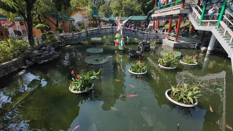 Good Wish Garden. Stock Footage 304950678
