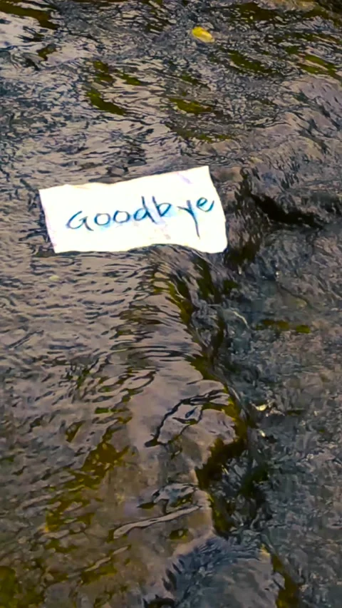 Goodbye Message on Paper Floating Away Down a River Stock Footage 335634793