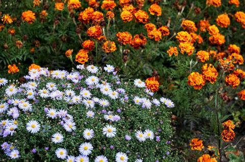 Goodbye to summer Stock Photos