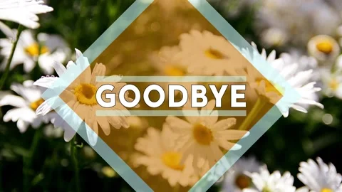 Goodbye Text Over Garden Of Daisies Stock Footage 135924413