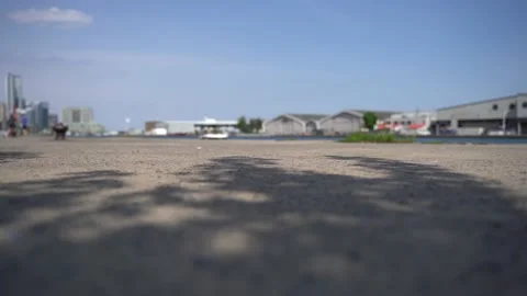 Gooderham Flatiron Building Stock Footage 133849814