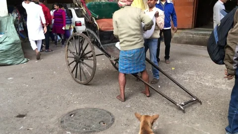 Goods shifting from Hand pulled rickshaw in Kolkata Stock Footage 100495380