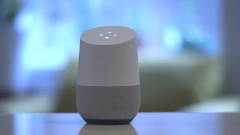 Google Home Stock Footage 102192711