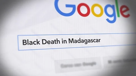 Google Search Engine - Search For Black Death in Madagascar Stock Footage 81784467
