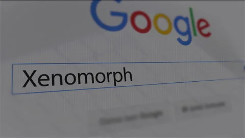 Google Search Engine - Search For Xenomorph Stock Footage 171068041