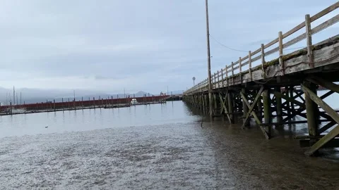 The Goon Docks Astoria Oregon Stock Footage 242652937
