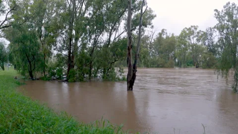 Goondiwindi Bridge Surrounded by Flooded River – Different Perspective Stock Footage 294313298