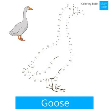 Goose bird learn to draw vector Stock Illustration