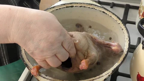 Goose boiled in a pot Stock Footage 196421045