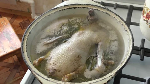 Goose boiled in a pot Stock Footage 196421108