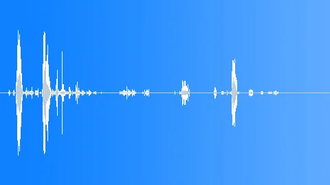 Sound Effect: Goose Cackling Screaming Wings Flapping ~ #241221119