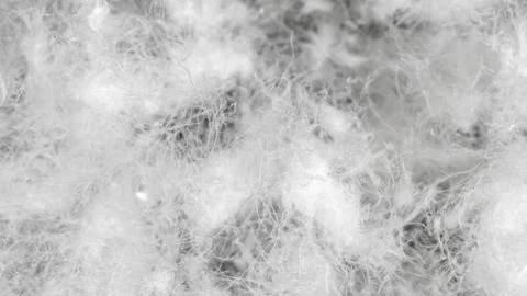 Goose down with visible texture Stock Photos