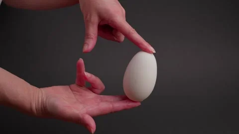 Goose egg Stock Footage 304680659