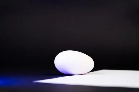Goose egg 库存照片