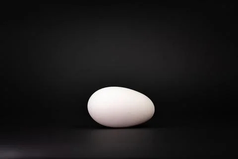 Goose egg 스톡 사진