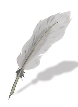 Goose feather. Stock Illustration